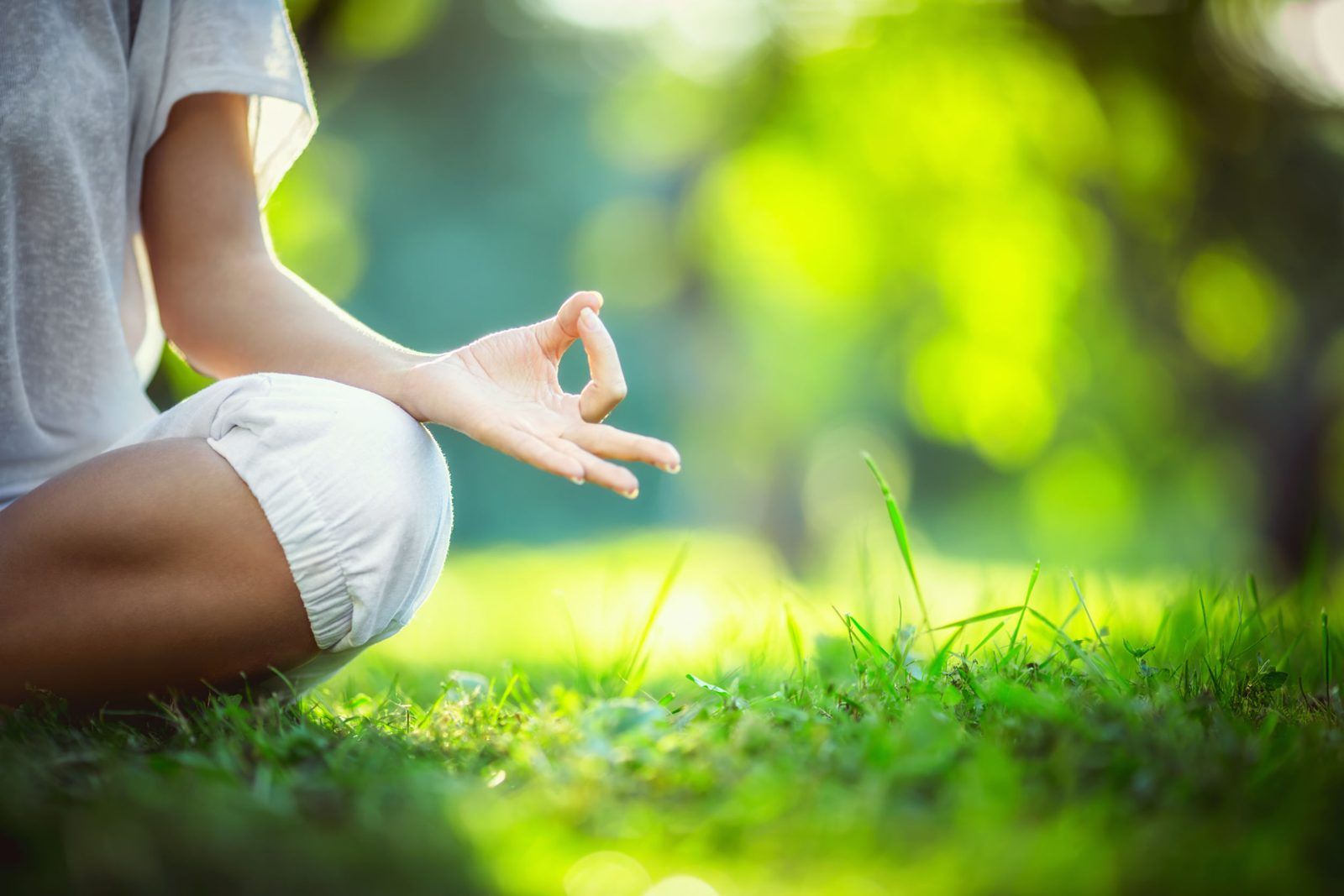 A woman sitting quietly in a sunlit meadow